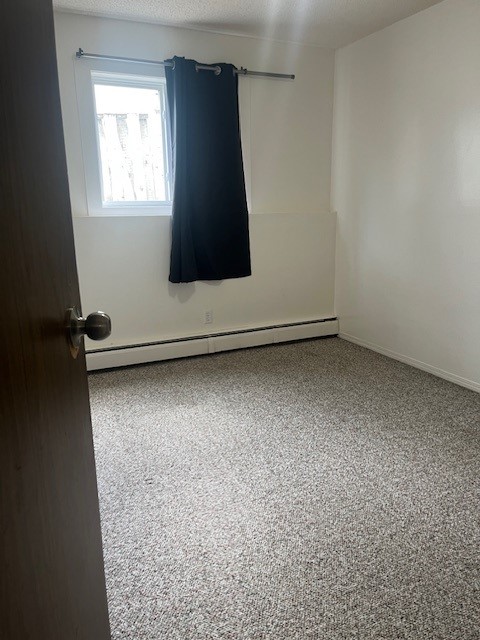 1 Bedroom Lower Suite in a Great East-Side Location! Close to Broadway