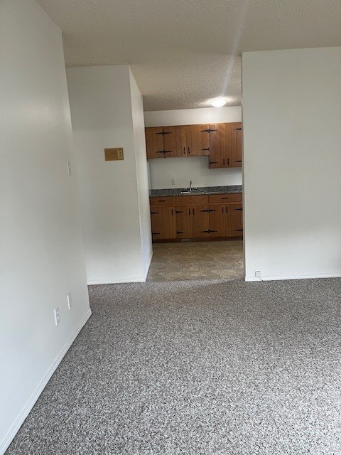 1 Bedroom Lower Suite in a Great East-Side Location! Close to Broadway