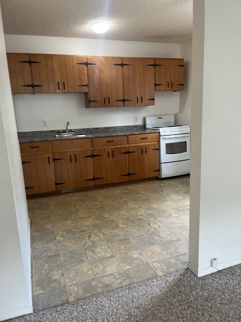 1 Bedroom Lower Suite in a Great East-Side Location! Close to Broadway